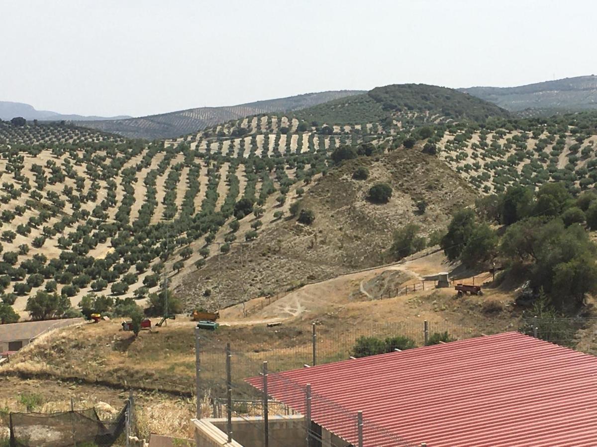 Apartamento Turistico Mirador De Sierra Magina Noalejo Entre Granada Y Jaen Exteriör bild